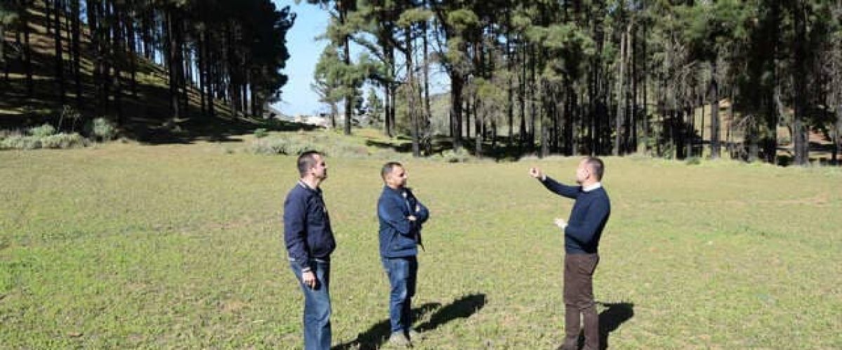 Teodoro Sosa Ulises Miranda y Heriberto Reyes de der. a izq.. en la Finca de La Herradura 1 1