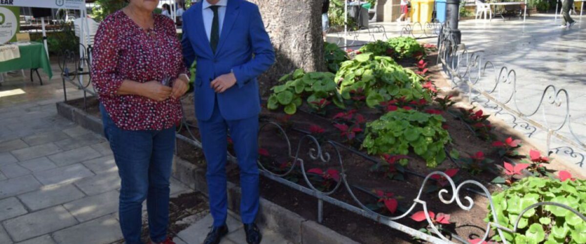 Teodoro Sosa y Pilar Mendoza junto a nuevas flores de Pascua plantadas en la Plaza de Santiago