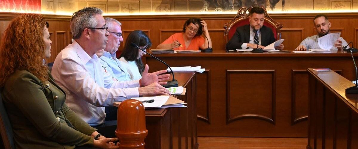 Tine Martín, concejal de Desarrollo Socioeconómico, en el Pleno de mayo