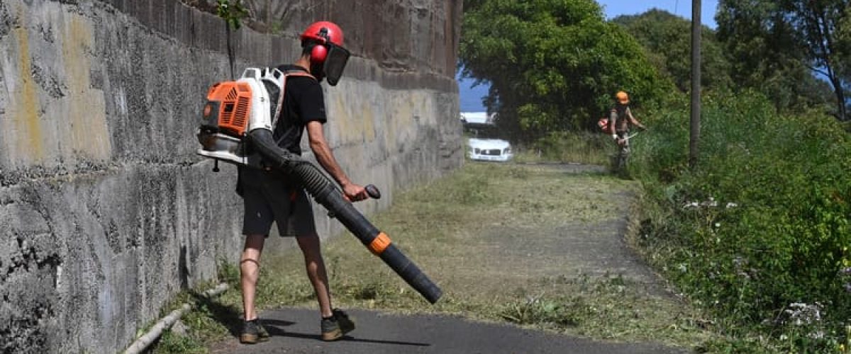 Trabajos previos de desbroce de la via de Santa Ines para la ejecucion de los trabajos de reasfaltado el proximo lunes 1