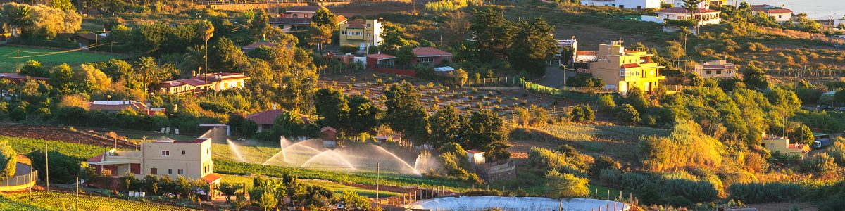 Zona agrícola de Santa Cristina, en las medianías guienses.