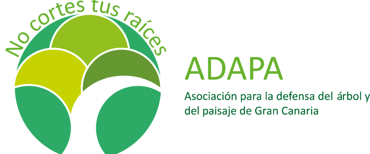 adapa logo web