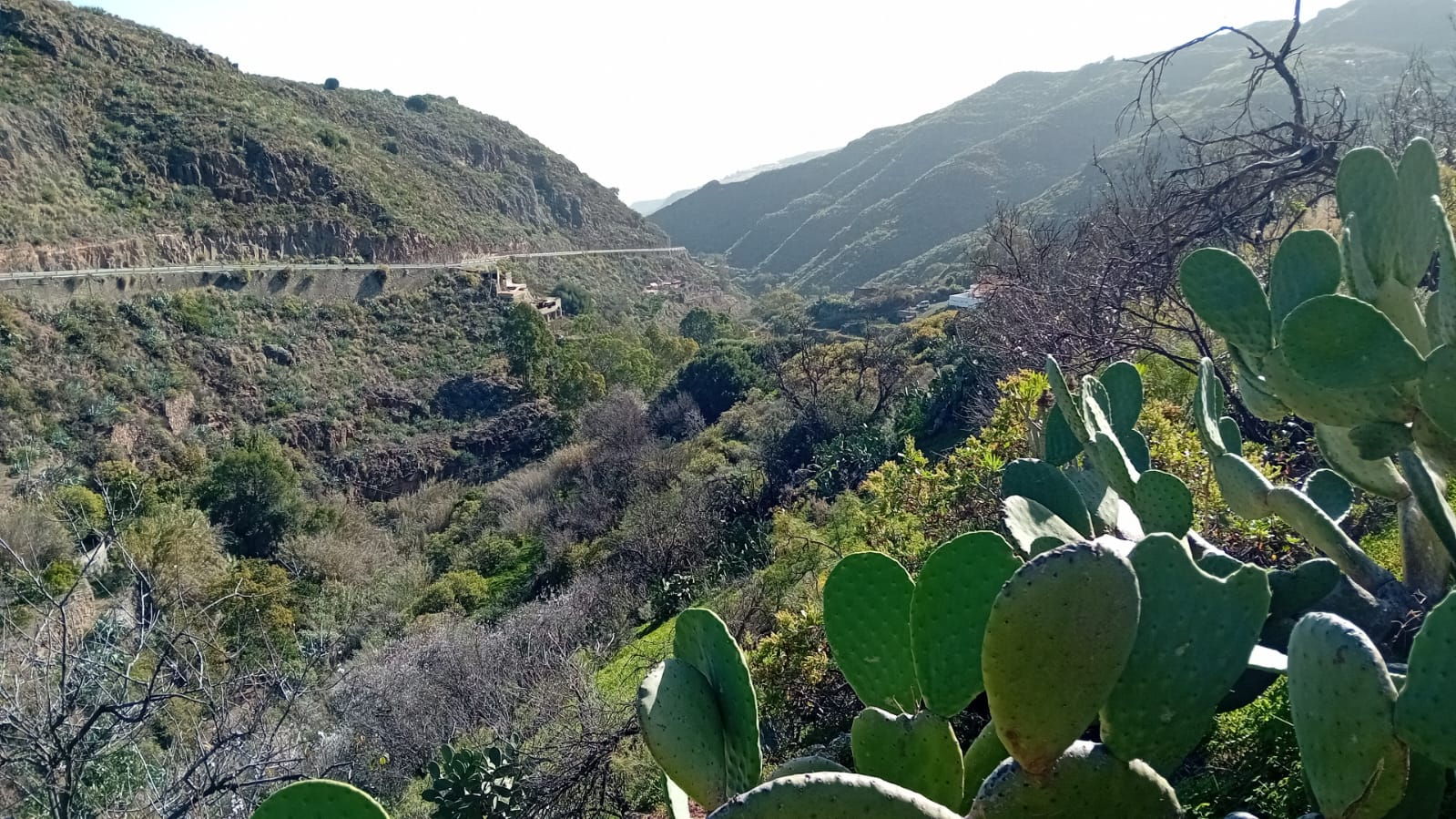 Valleseco se va de senderismo por la zona oriental de Gran Canaria