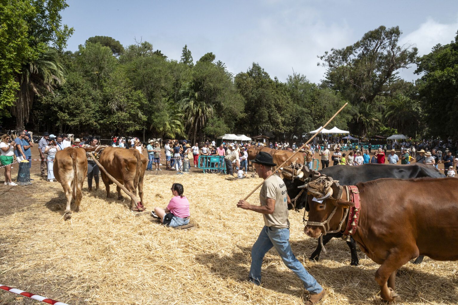 21_FERIA-DE-GANADO_2024 - NorteGranCanaria -