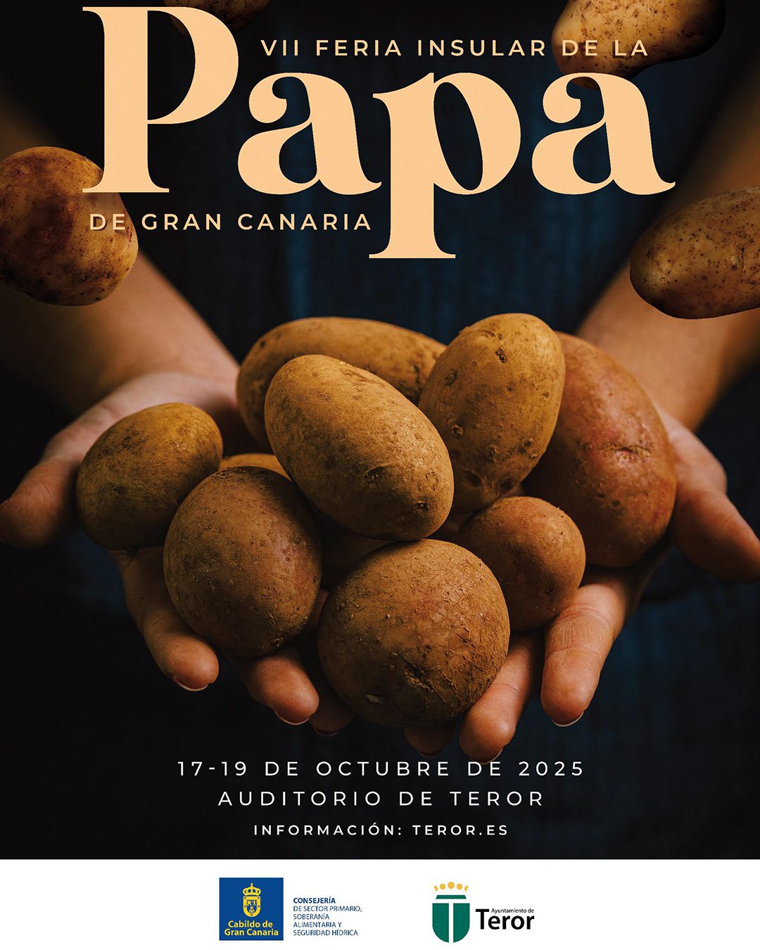 08_cartel_redes_feria_papa - NorteGranCanaria -