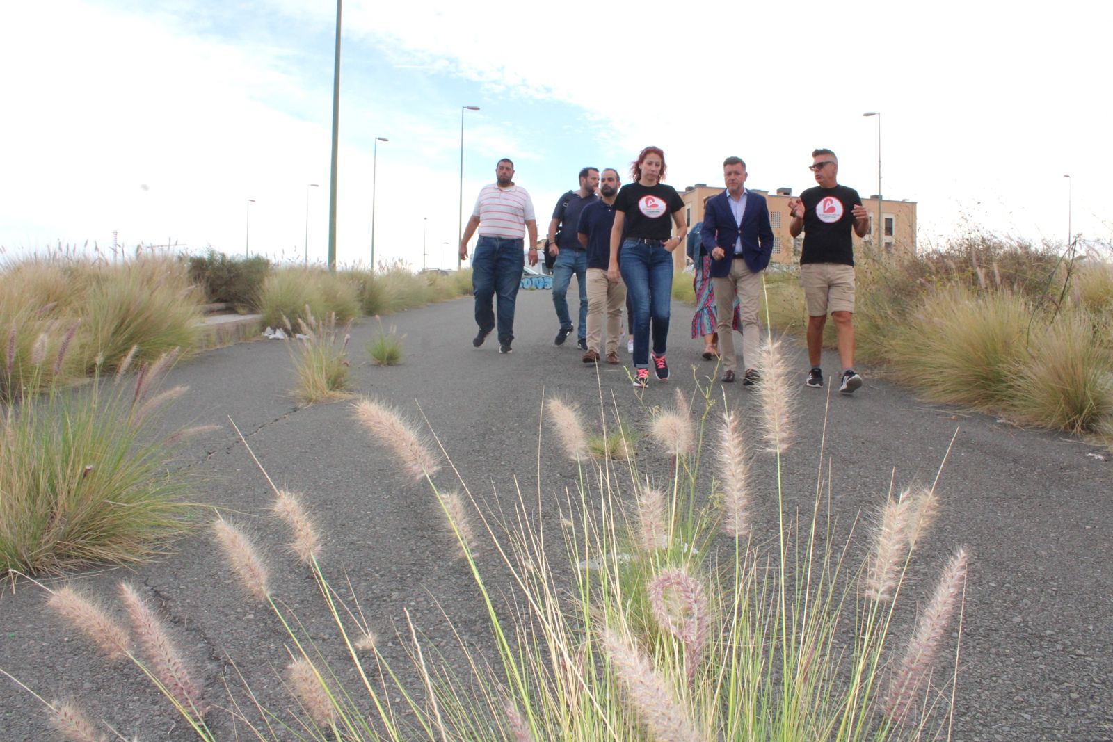 251015 Almatrice Bajo 04 - NorteGranCanaria -