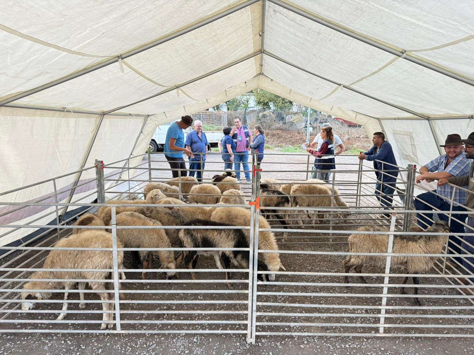 311025 Simulacro INFOCA con evacuación de animales 4 - NorteGranCanaria -