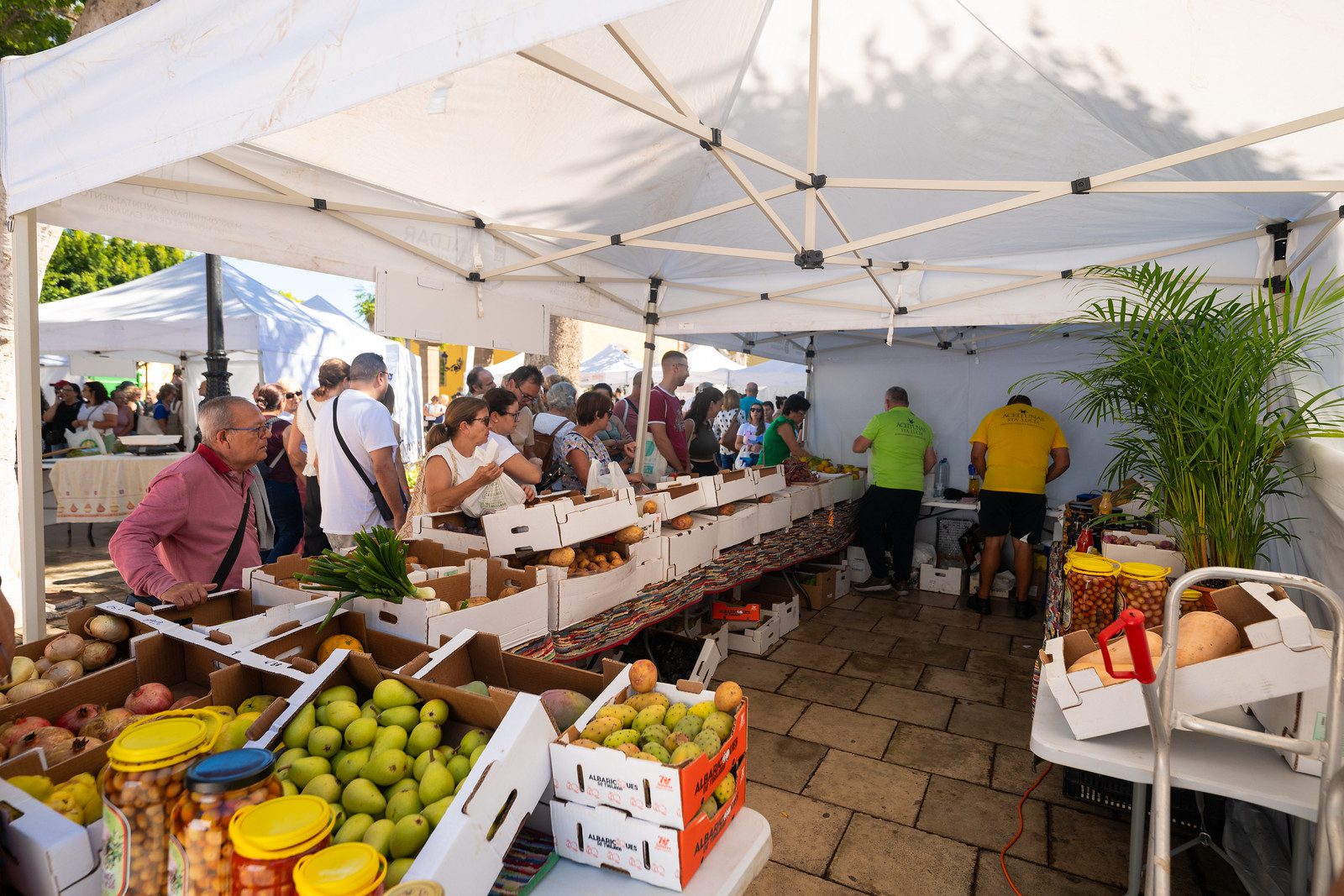 Mercado Agrícola Gáldar