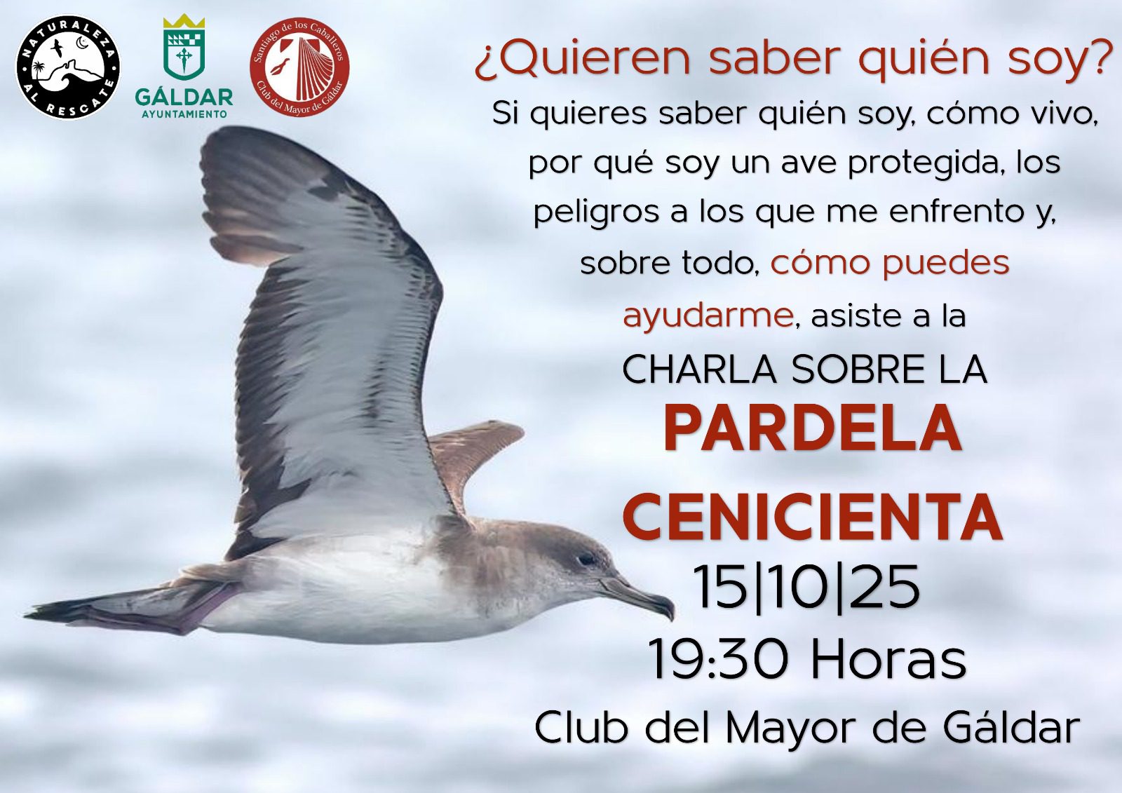 Cartel de la charla sobre la pardela cenicienta - NorteGranCanaria - - NorteGranCanaria -