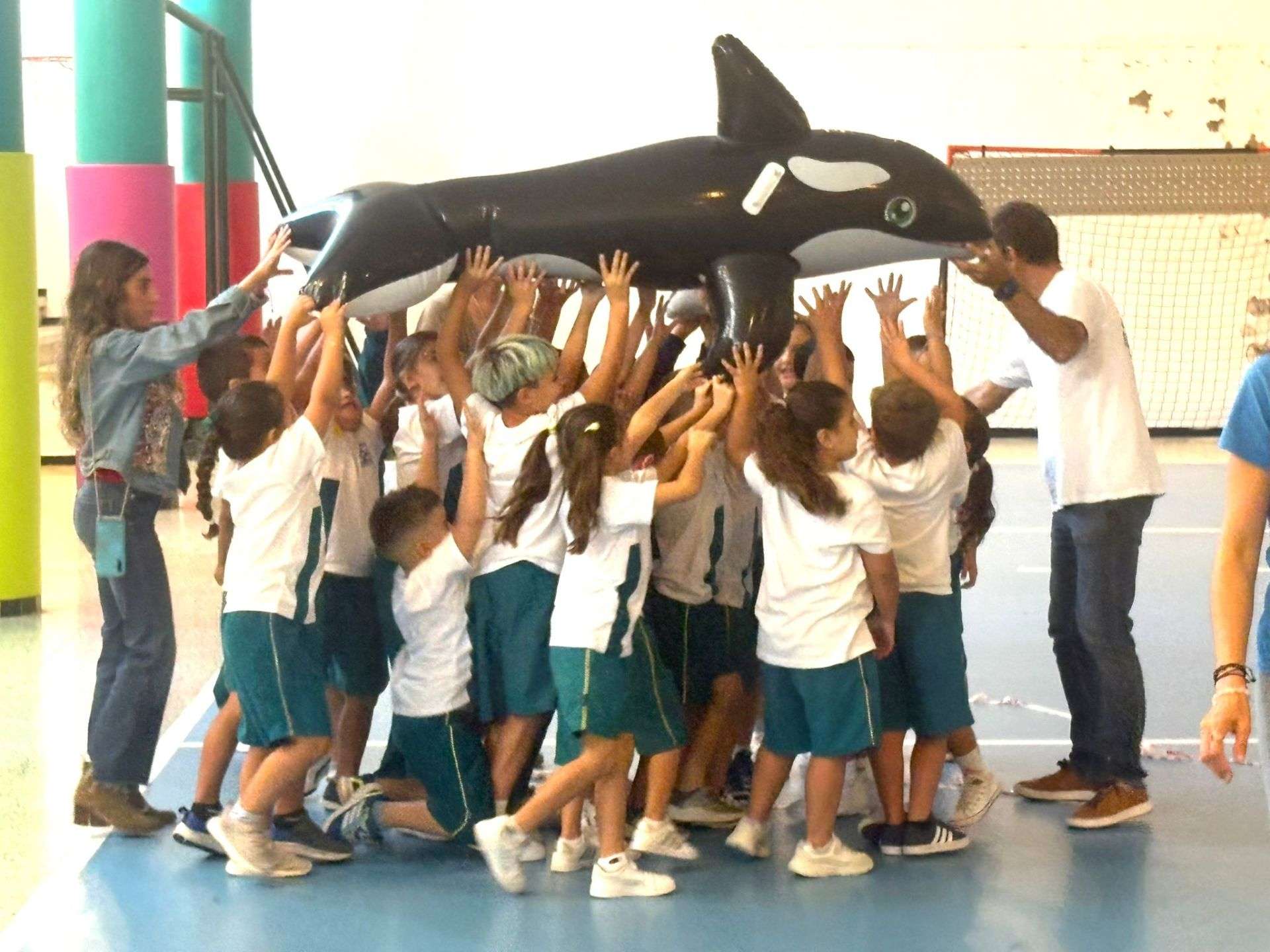 IUSA 2 - NorteGranCanaria -