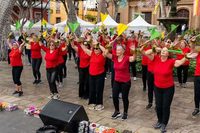 Portada Clubes Mayores - NorteGranCanaria -
