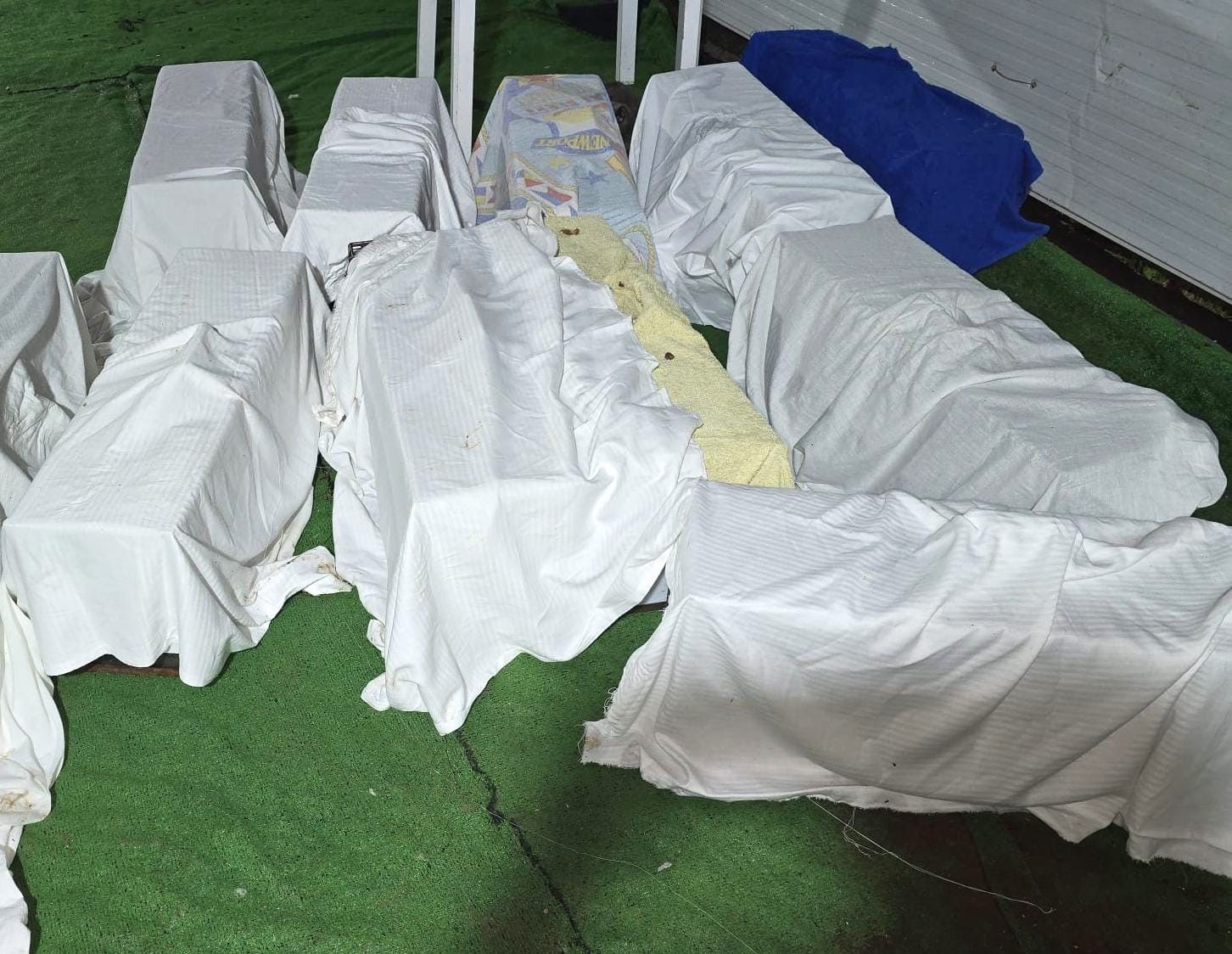 Gáldar finaliza una nueva campaña de esterilización y control de 250 gatos