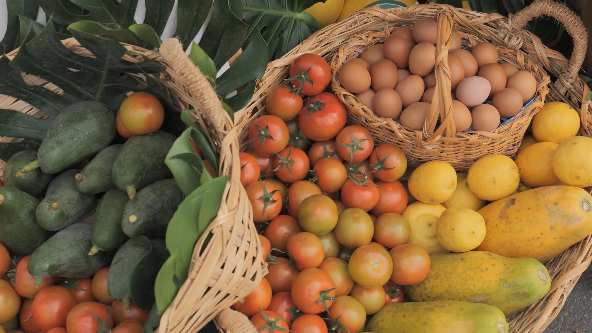 Inauguración Enorte 2026