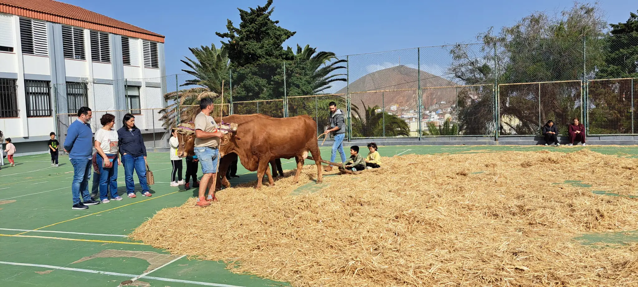El CEIP Miguel Santiago acerca las tradiciones rurales al alumnado en el marco de su 40º aniversario