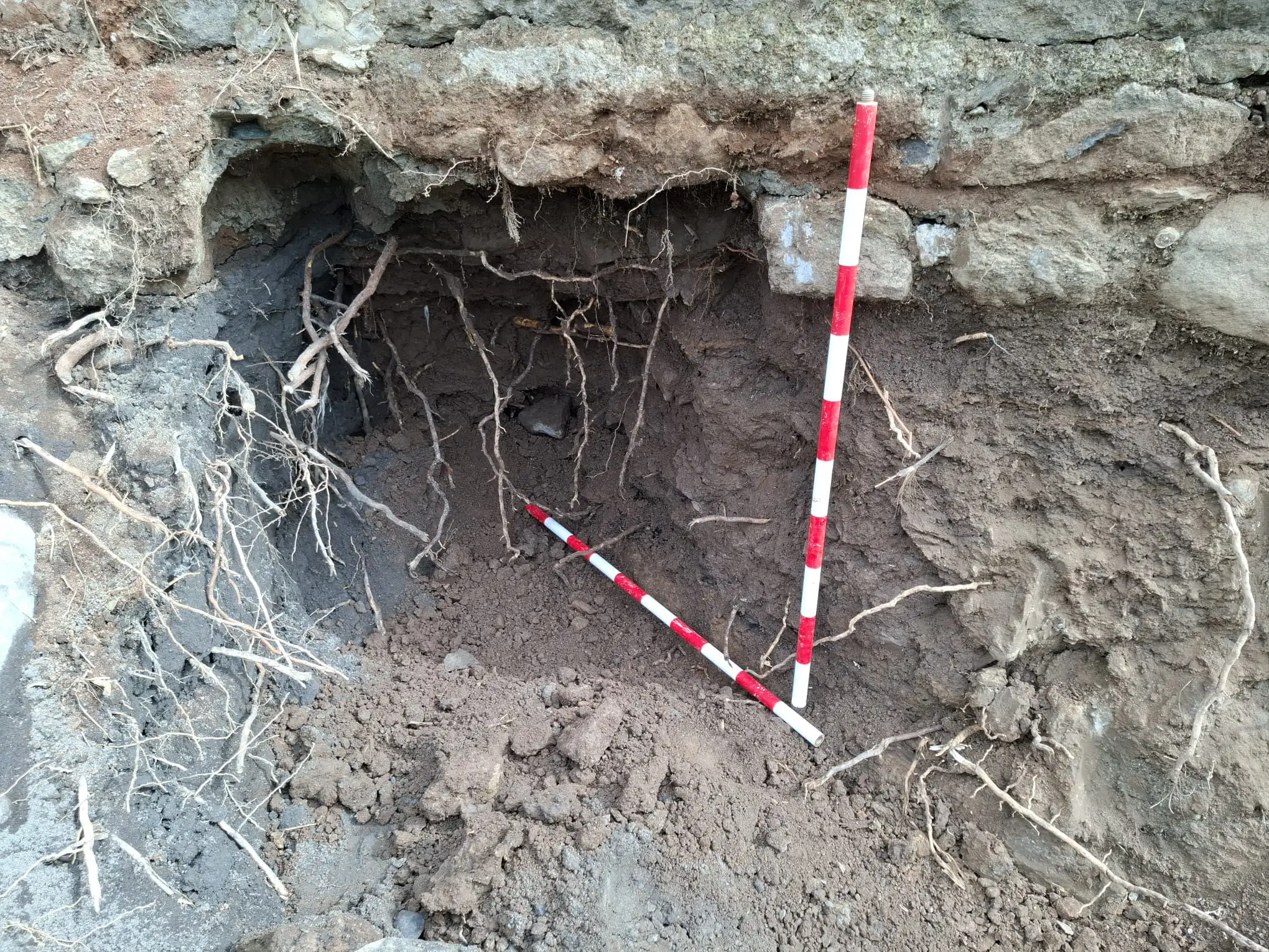 Hallazgo casual en Arucas