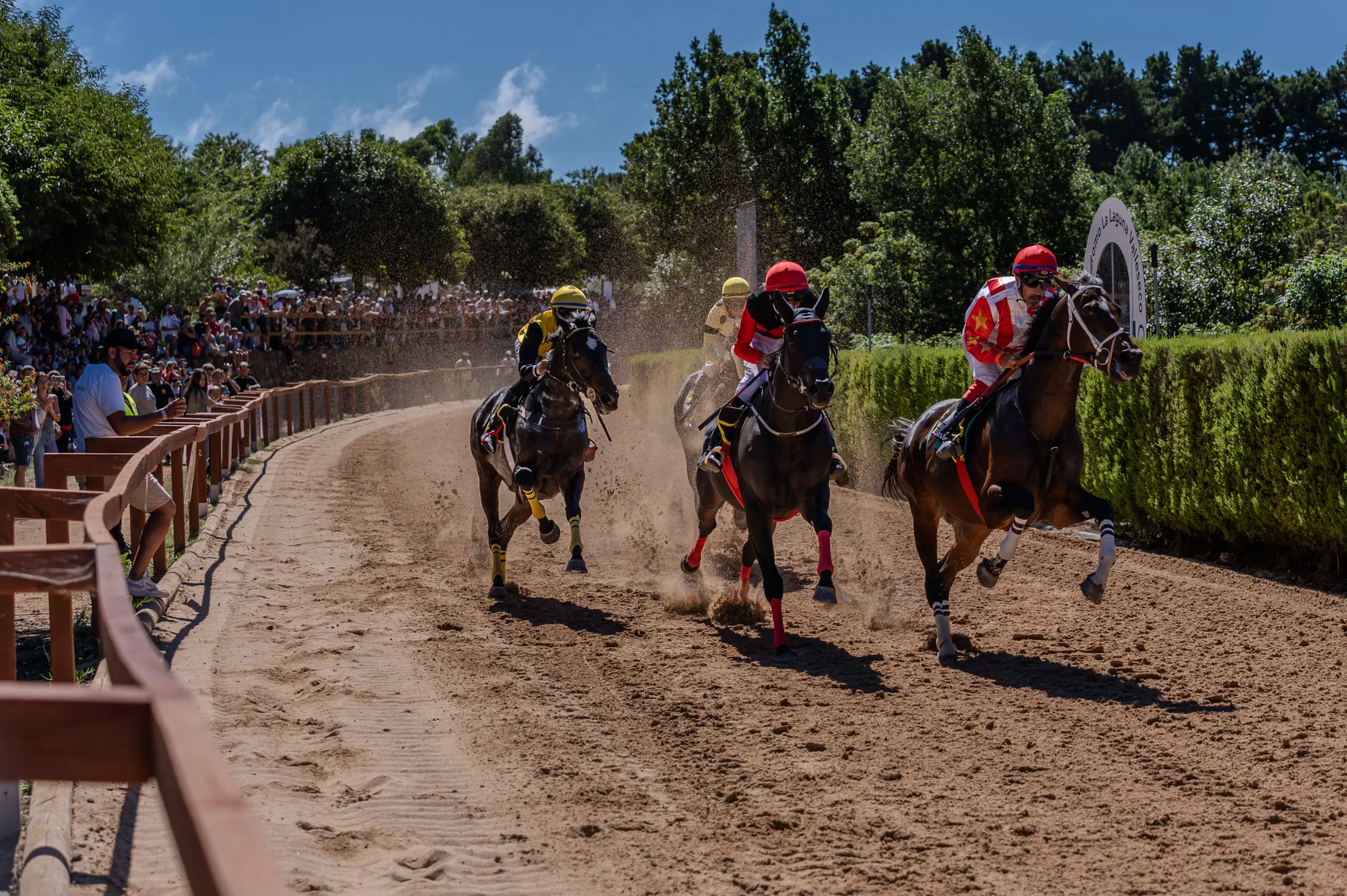Domingo de emoción en el Hipódromo de La Laguna de Valleseco: siete carreras decisivas rumbo al título