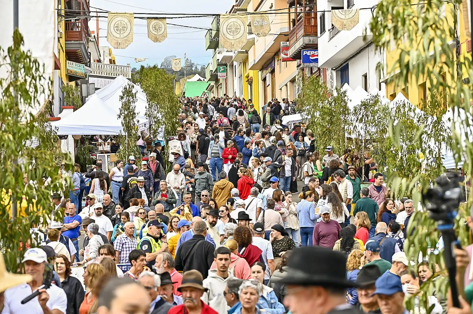 Fiesta Del Queso De Montaña Alta 2025