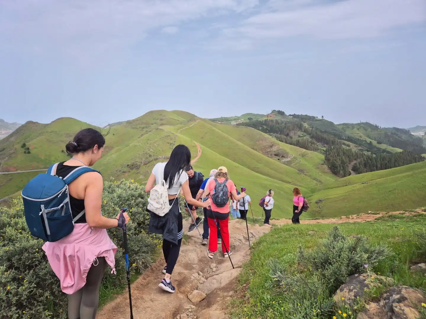La Segunda Ruta Etnográfica Quesos Y Pastores De Guía Celebrada El Pasado 18 De Abril Partió Desde La Cumbre Hasta El Cortijo De Pavón