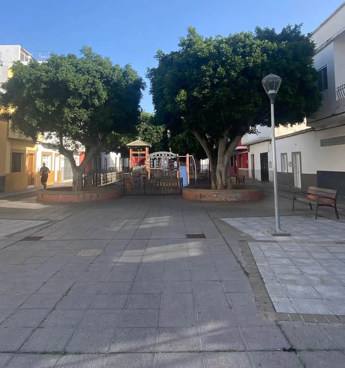 Parque Moisés Pérez, Cardones 3