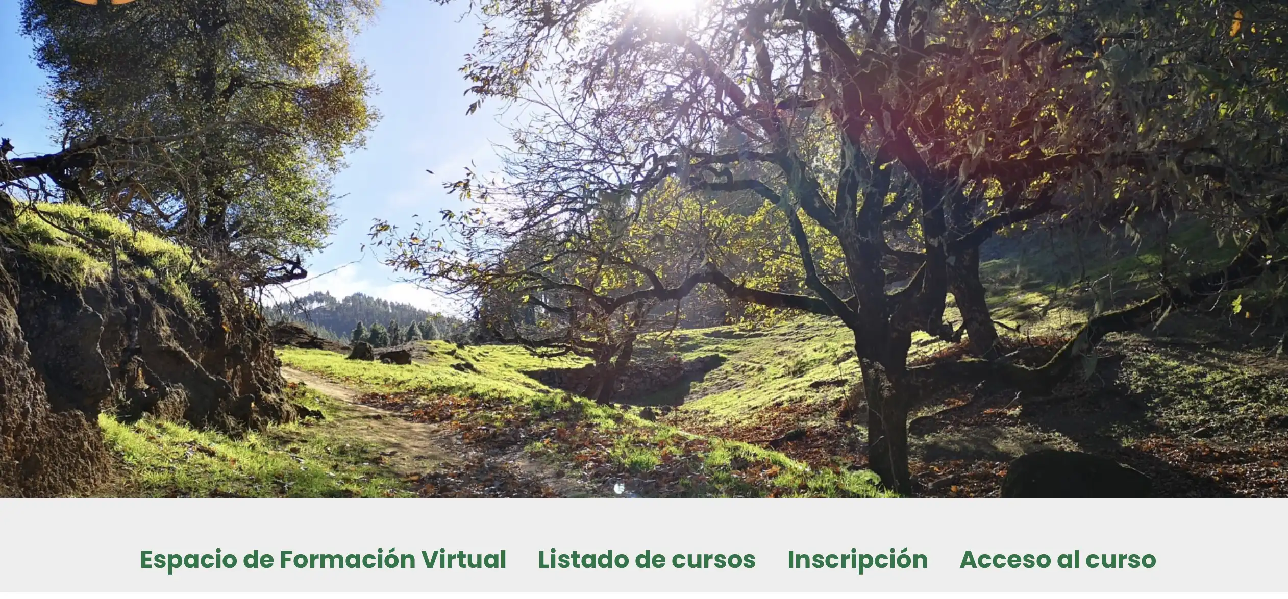Portada De Página