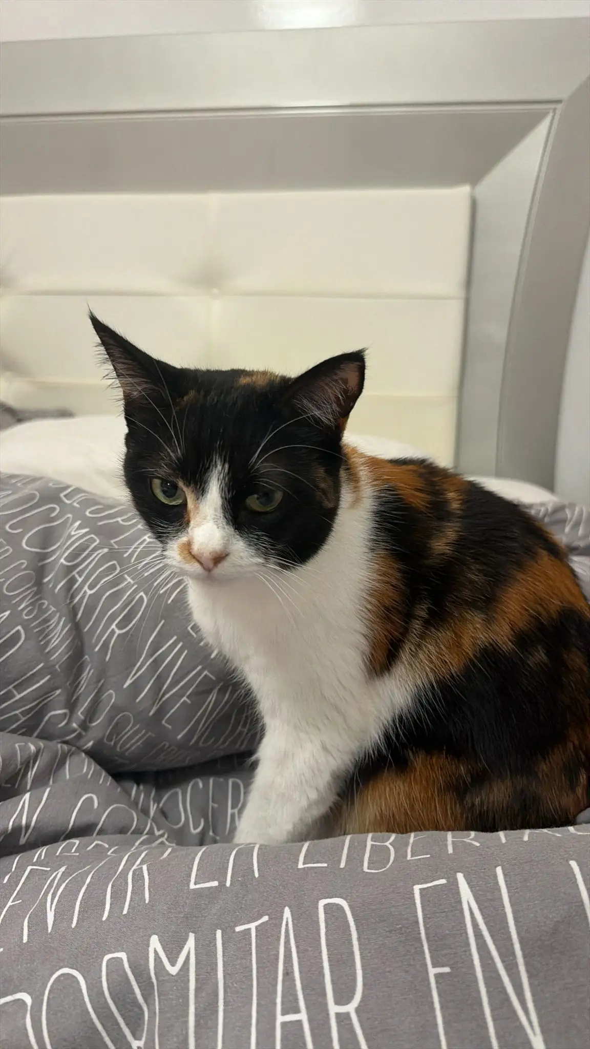 Whatsapp Image 2026 04 12 At 21.23.06