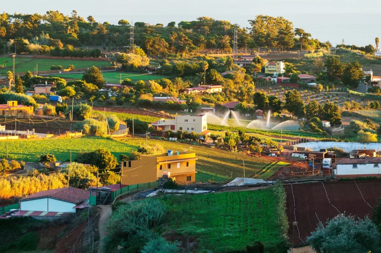 Zona Agrícola De Las Medianías Guienses