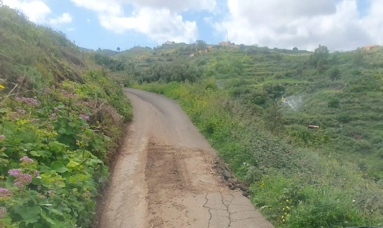 08 Carretera Pinar Ojeda