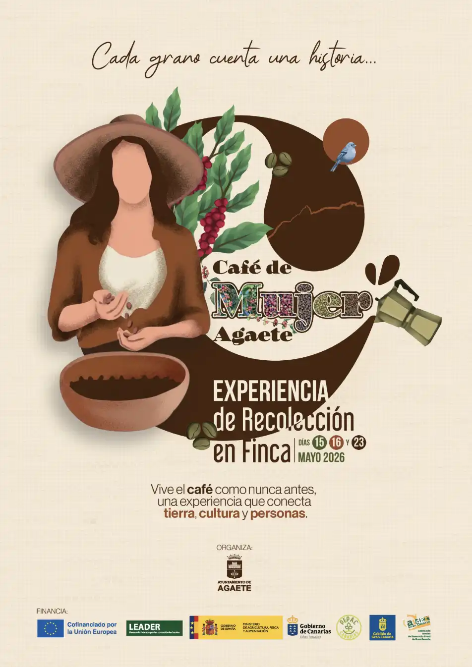 Agaete invita a la ciudadanía a una experiencia de recolección colectiva de café tradicional
