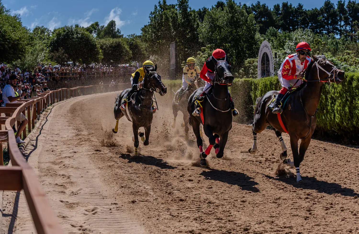 Carrera De Caballos Archivo