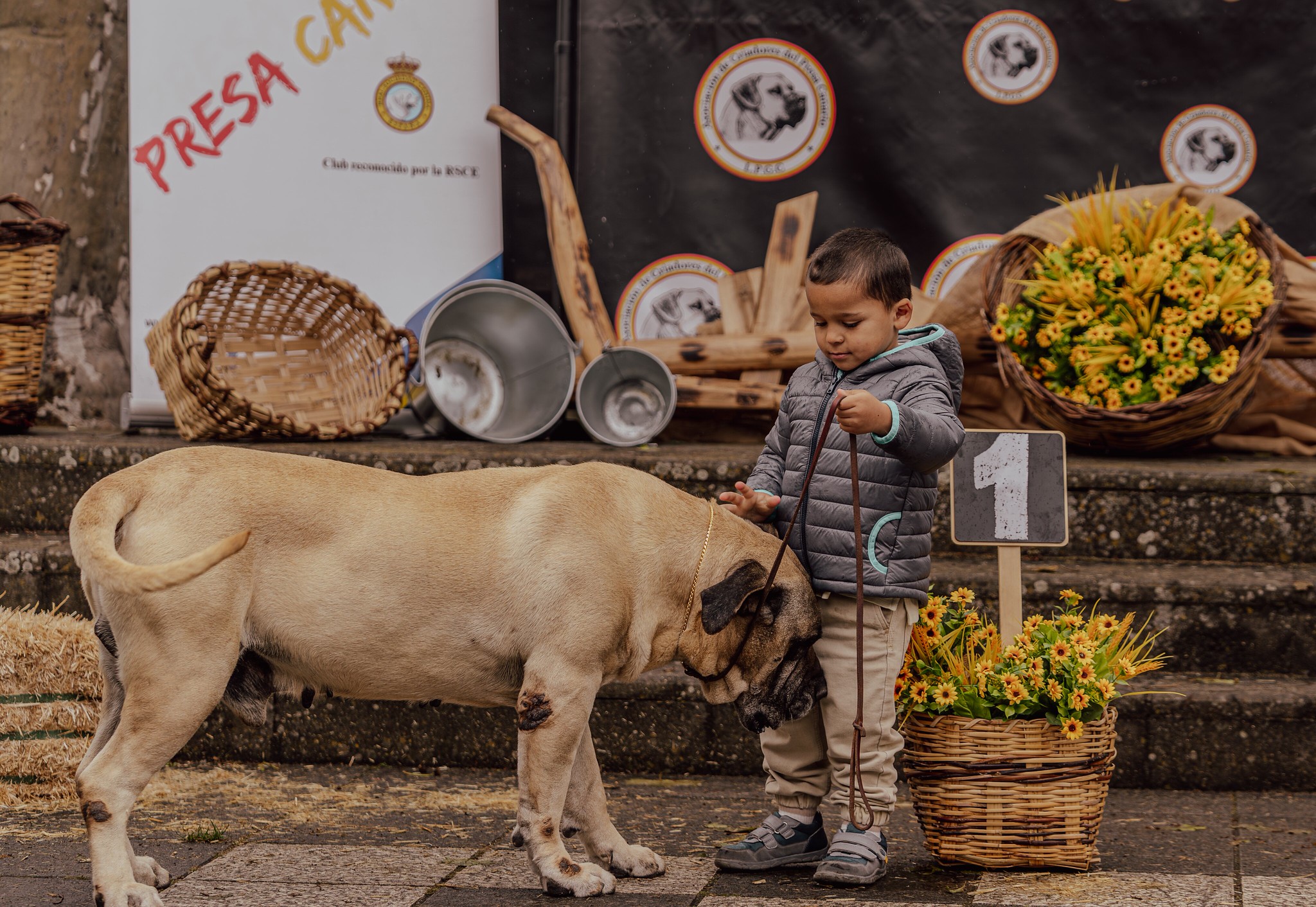Concurso Presa Canario Valleseco