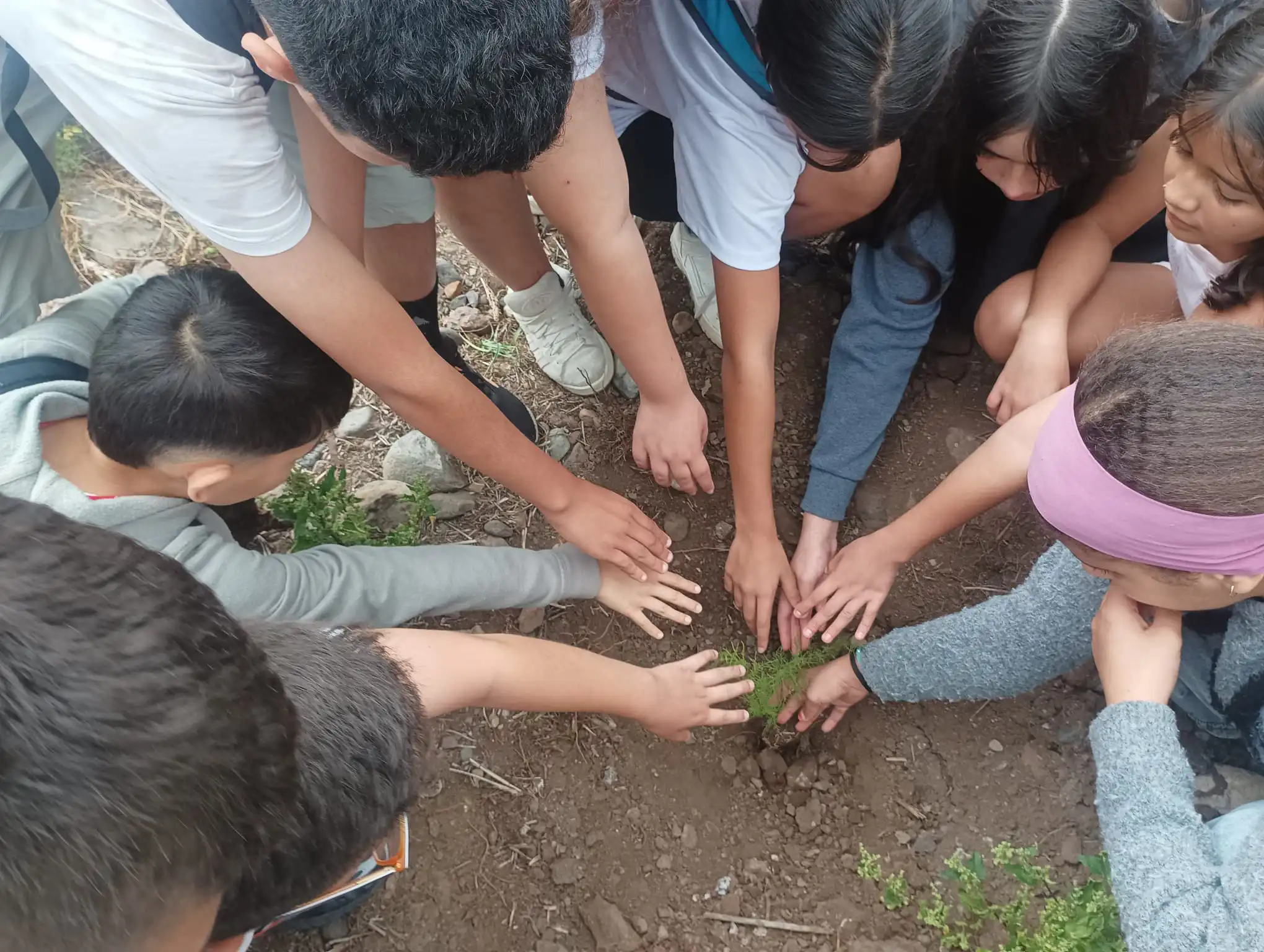 Excursión Ceip Virgen Del Carmen