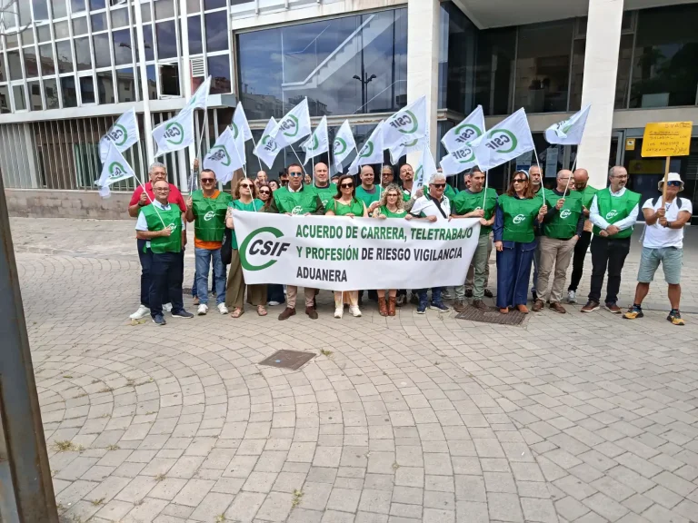 Grafica Paara Parcial Del Csif Ante La Aeat De La Provincia De Las Palmas