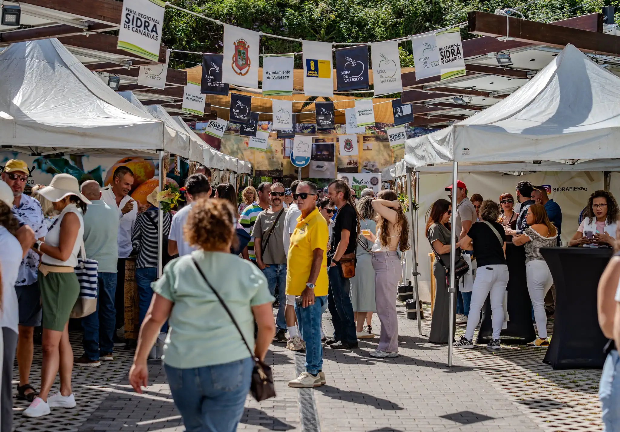 Iv Feria Regional De La Sidra 2026