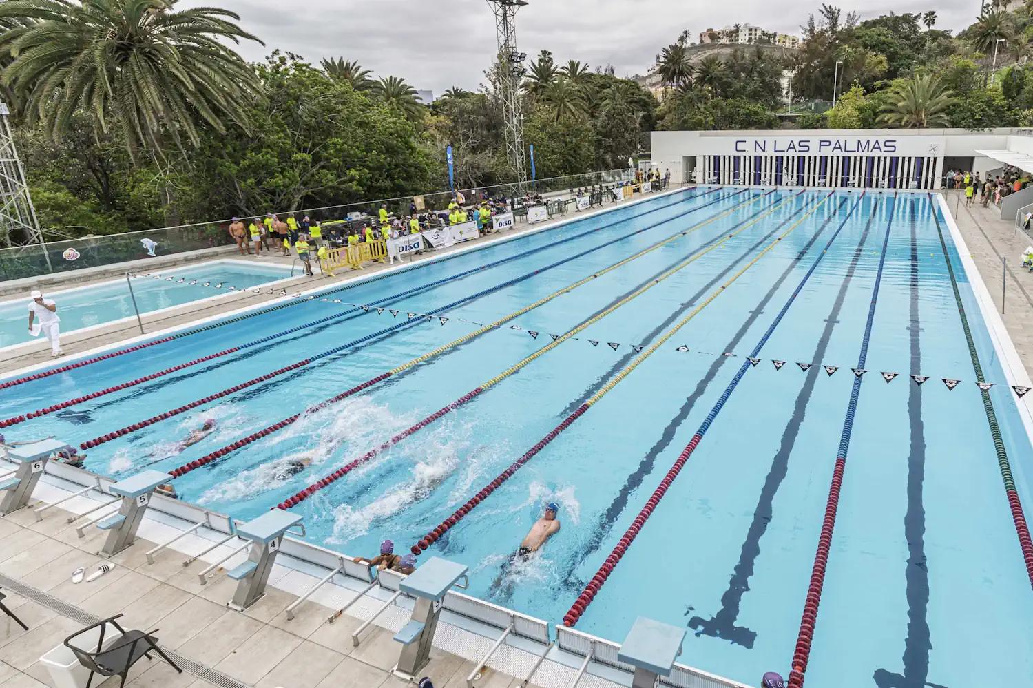 Canarias se vuelca con la natación adaptada, en una edición histórica del Open Fundación DISA