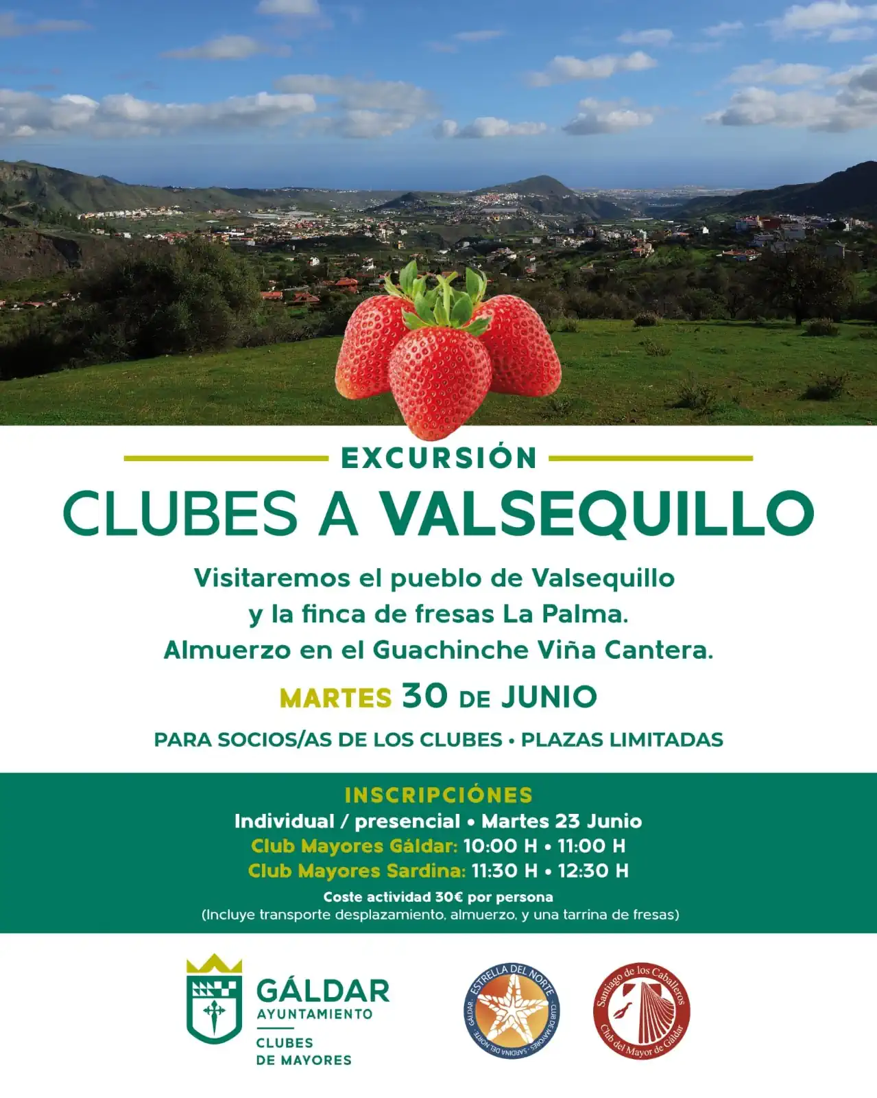 Cartel Excursión A Valsequillo