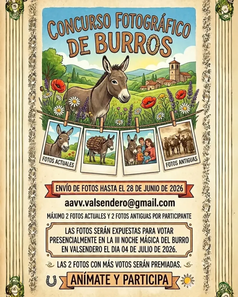 Concurso Fotográfico De Burros