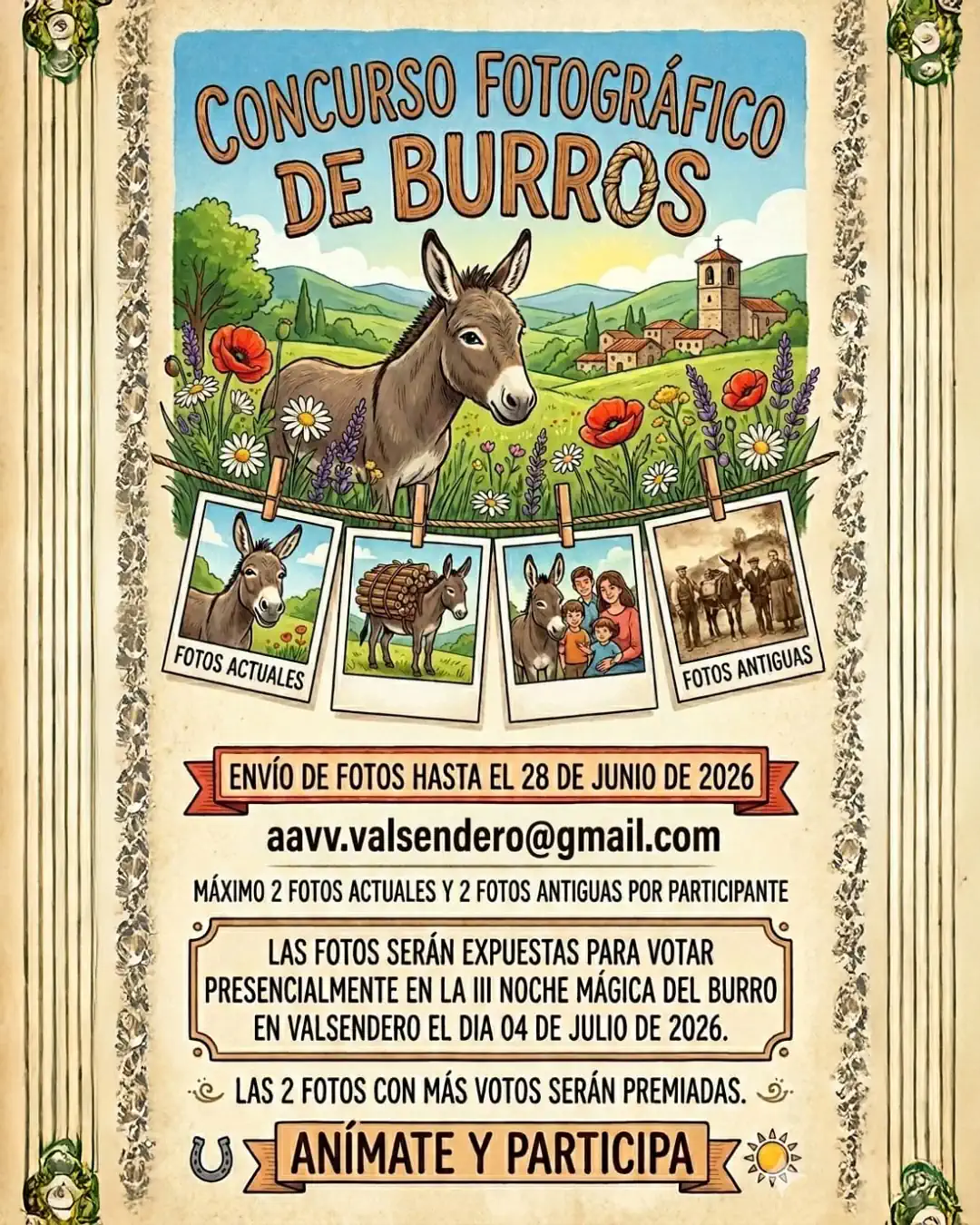 Concurso Fotográfico De Burros