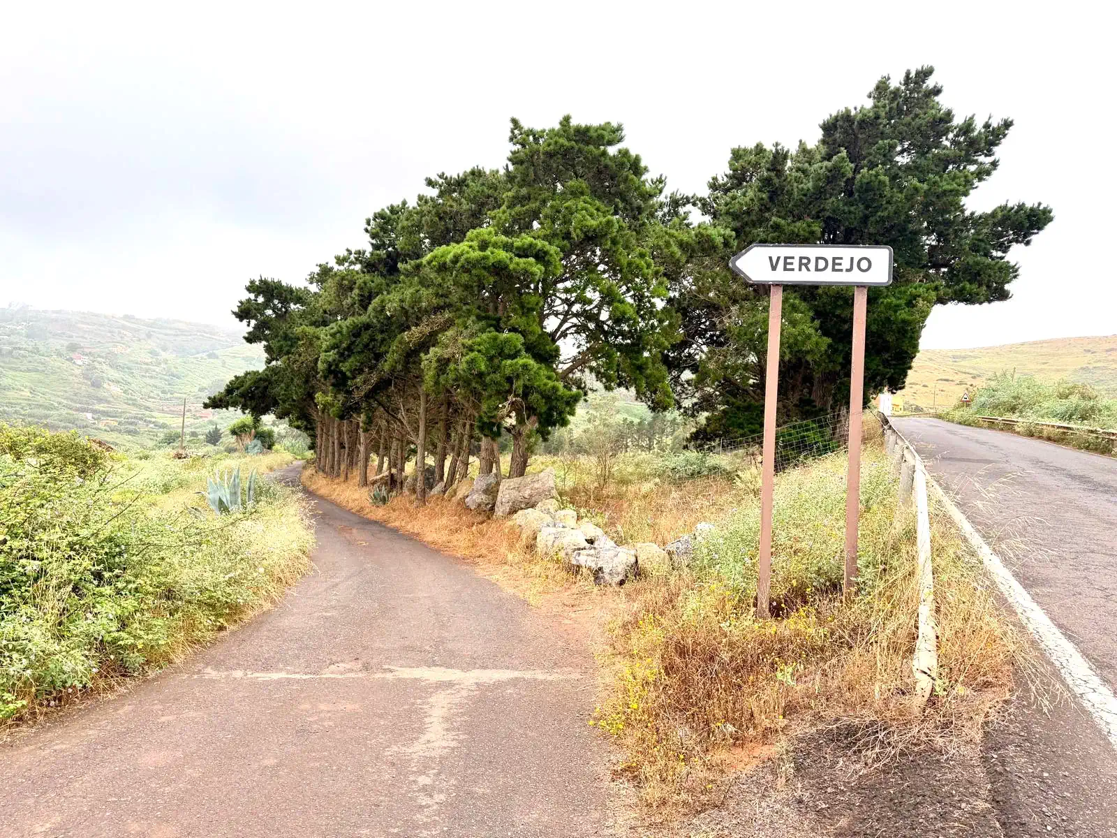 Entrada A Verdejo En Las Medianías Del Municipio De Guía