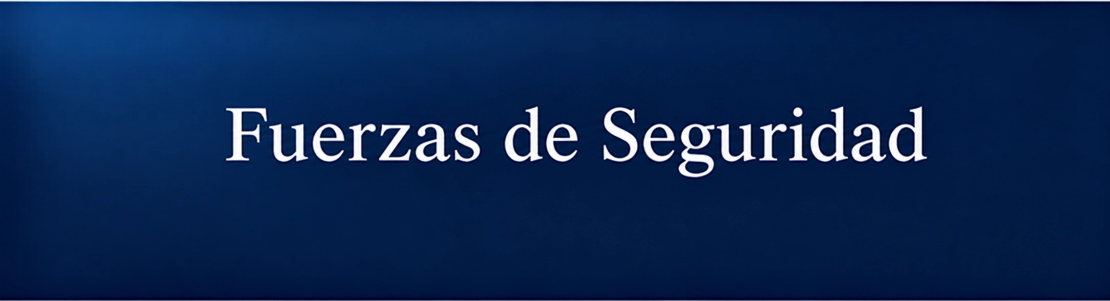 Fuerzas De Seguridad