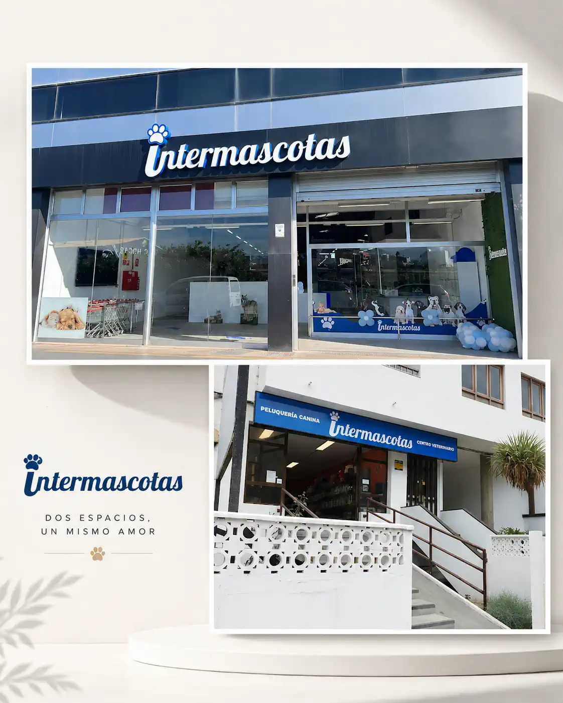 Intermascotas