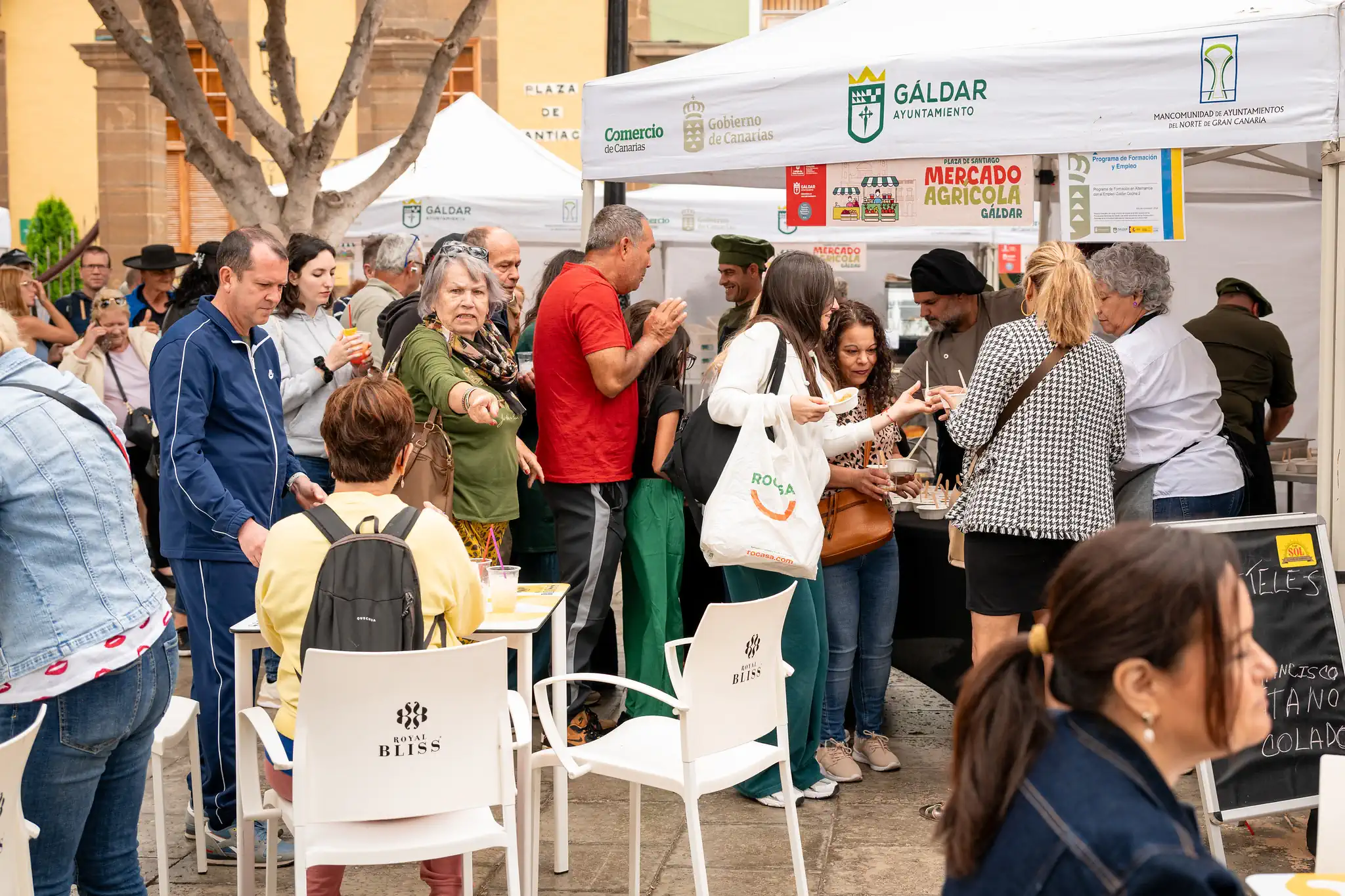 Mercado Agrícola De Gáldar Del 31 De Mayo De 2026