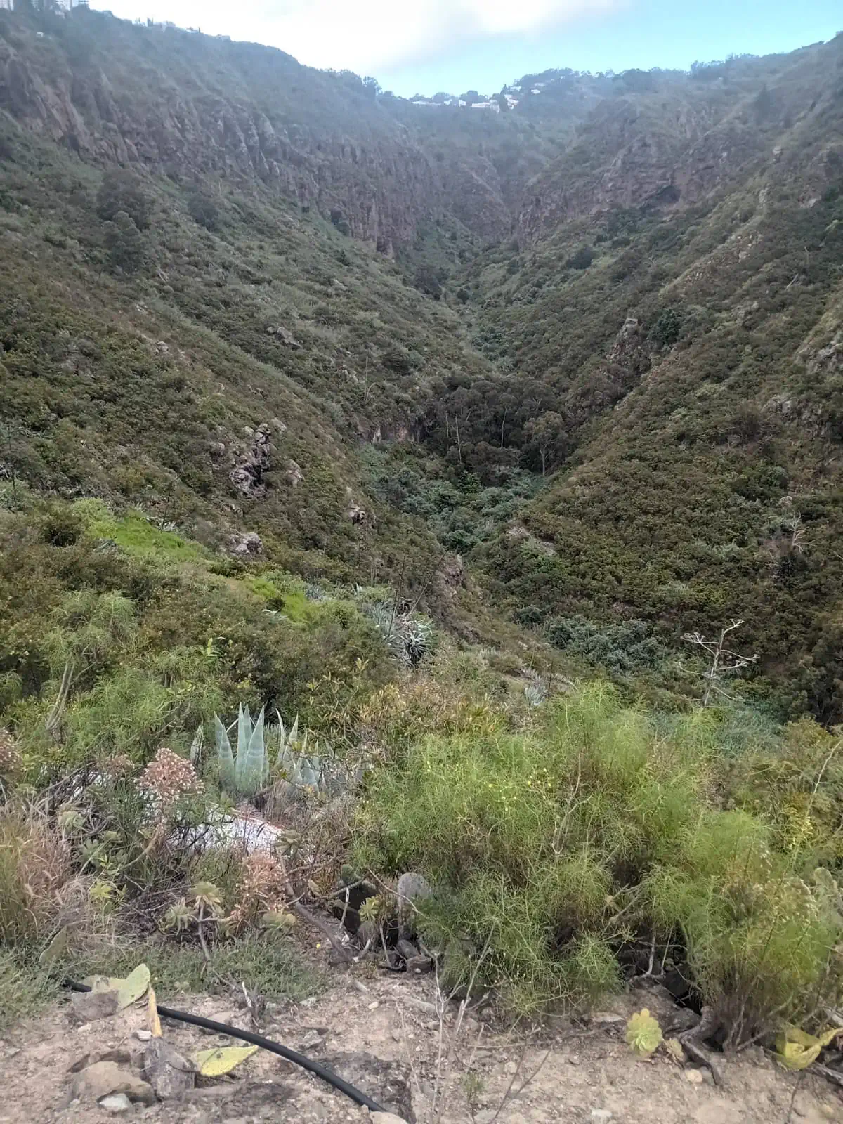 R2616 Foto 3