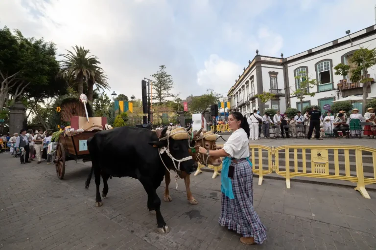 Romería De Arucas 2025