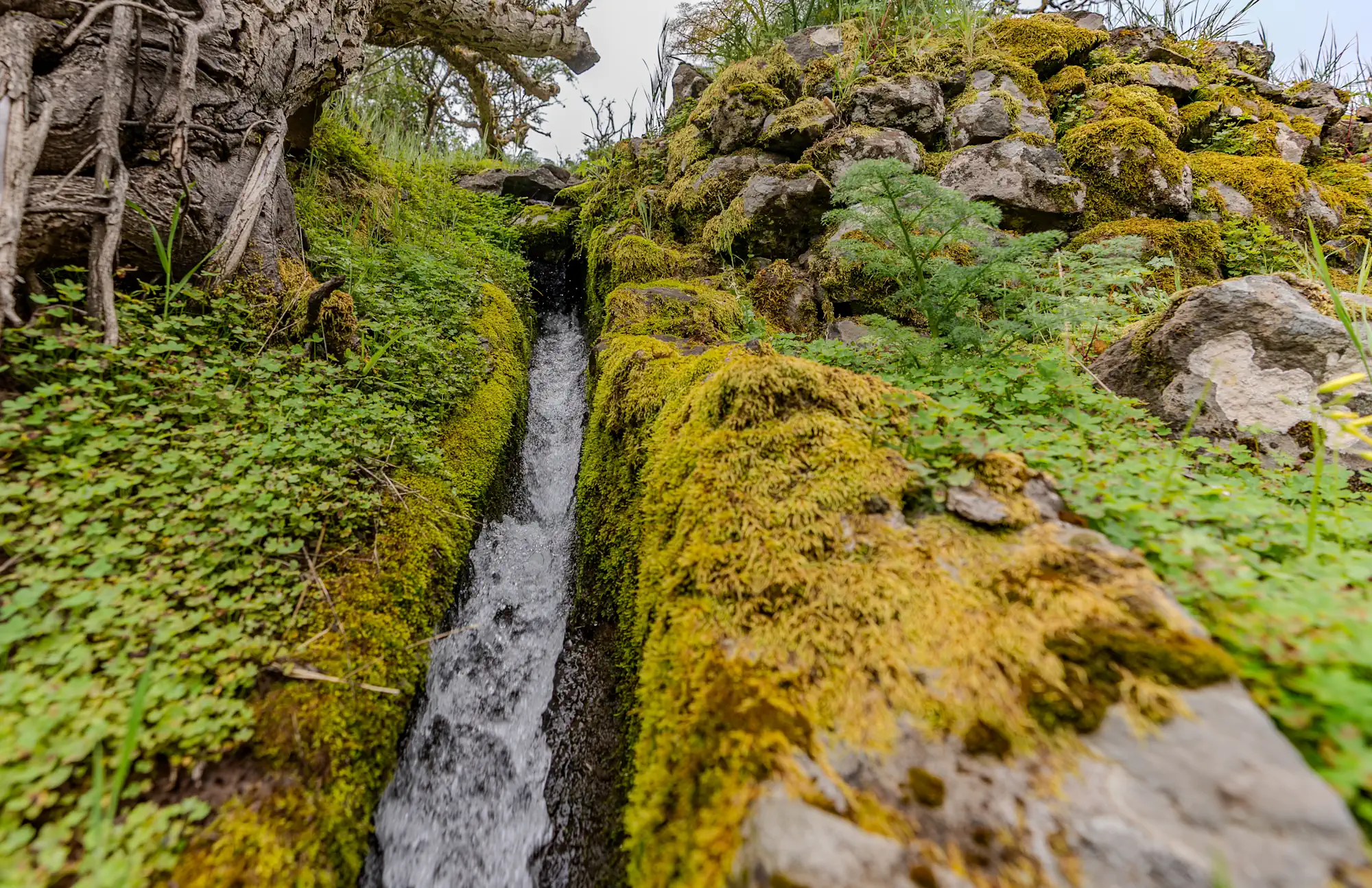 Ruta Del Agua Valleseco