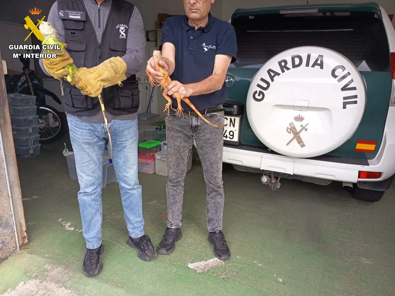 Investigada la tenencia de especies protegidas y exóticas invasoras localizadas en una vivienda de Gran Canaria