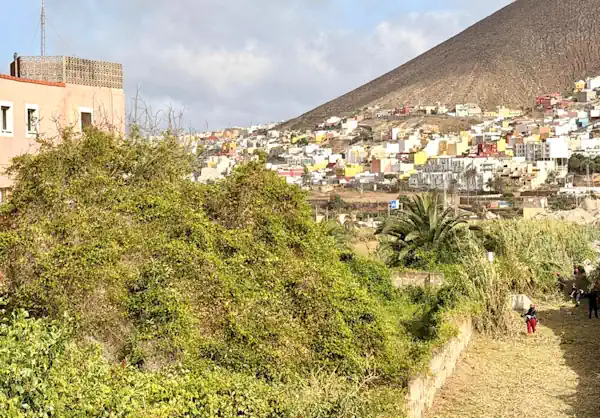 Operarios Retirando Las Cañas Y El Rabo De Gato Del Barranco De Las Garzas (1)