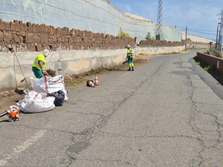 Tareas De Desbroce En La Carretera De El Agujero