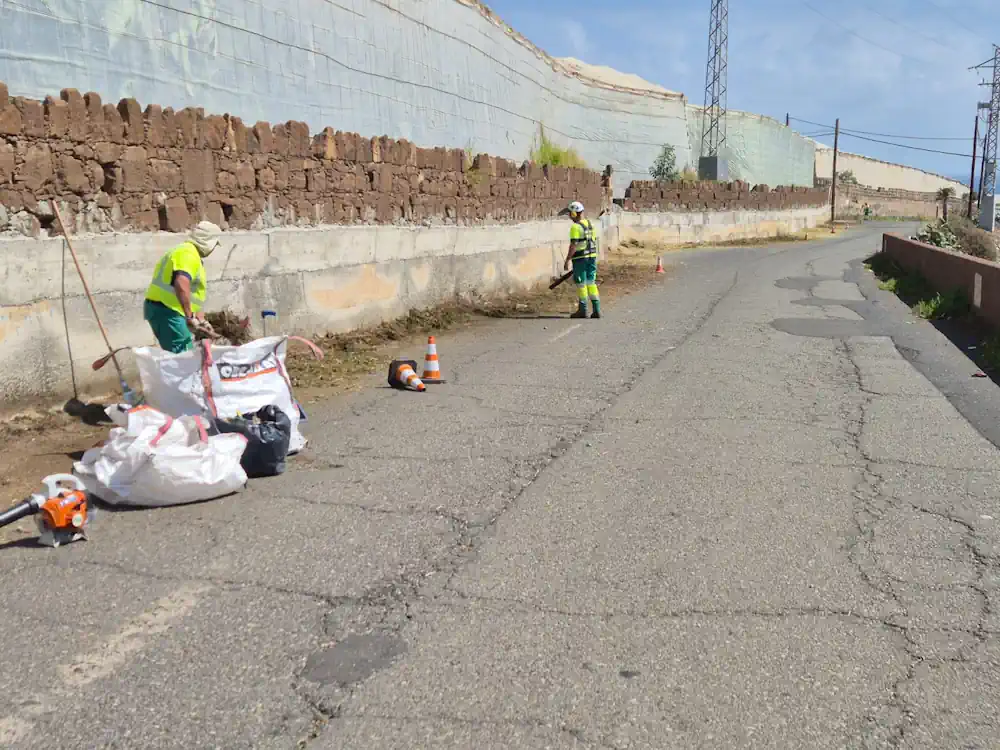 Tareas De Desbroce En La Carretera De El Agujero