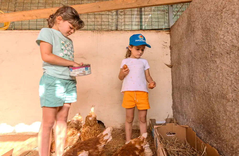 El Campus de Verano de Valleseco enseña a la infancia que también se aprende jugando, cuidando animales y metiendo las manos en la tierra