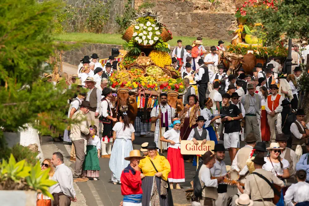 Carreta De Gáldar En La Romería Del Pino 2025